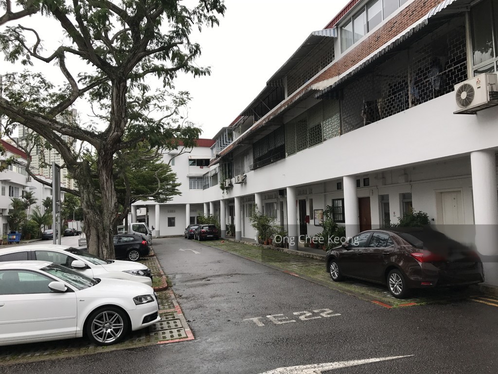 Tiong Bahru Estate (D3), Apartment #155104392
